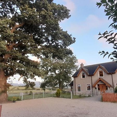 Oaktree Manor Villa Castlewellan Kültér fotó