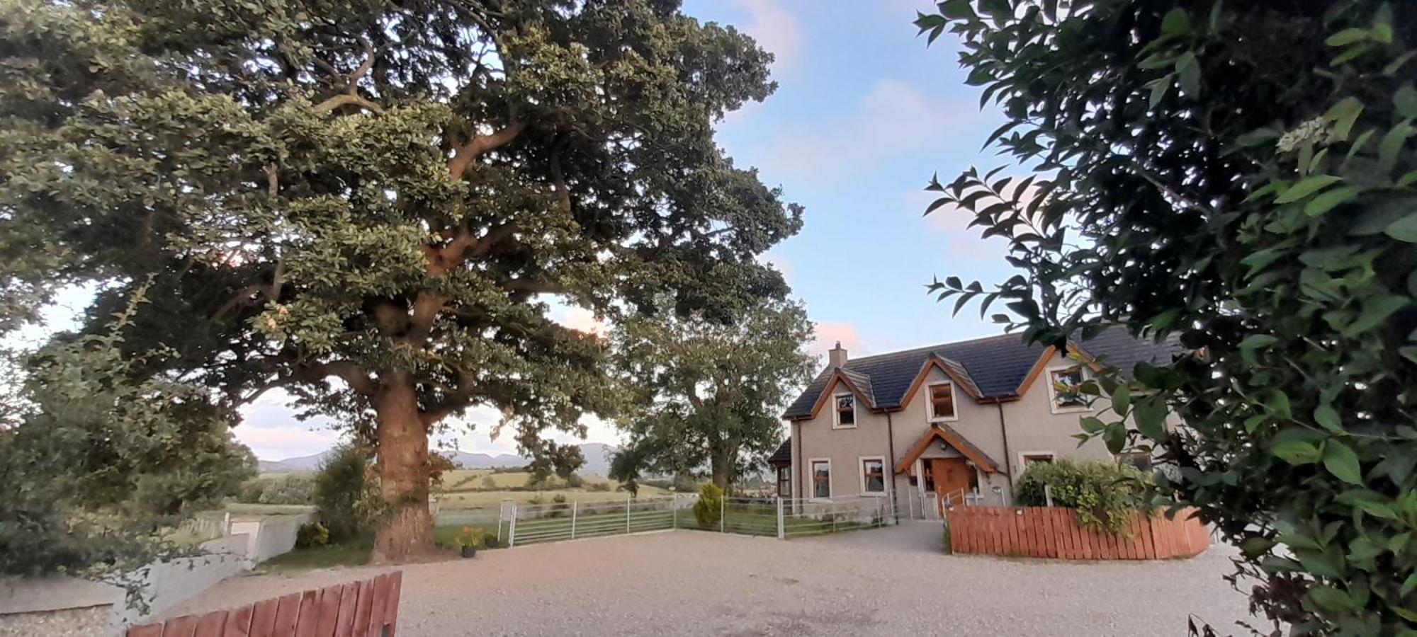 Oaktree Manor Villa Castlewellan Kültér fotó