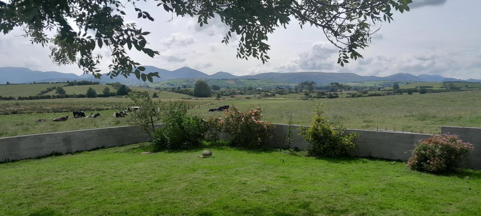 Oaktree Manor Villa Castlewellan Kültér fotó